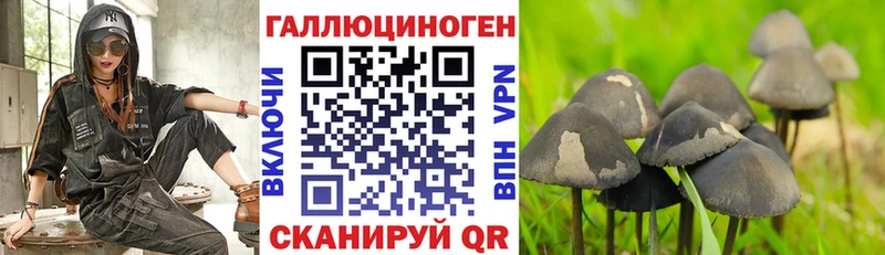 Галлюциногенные грибы прущие грибы дарнет шоп Теберда